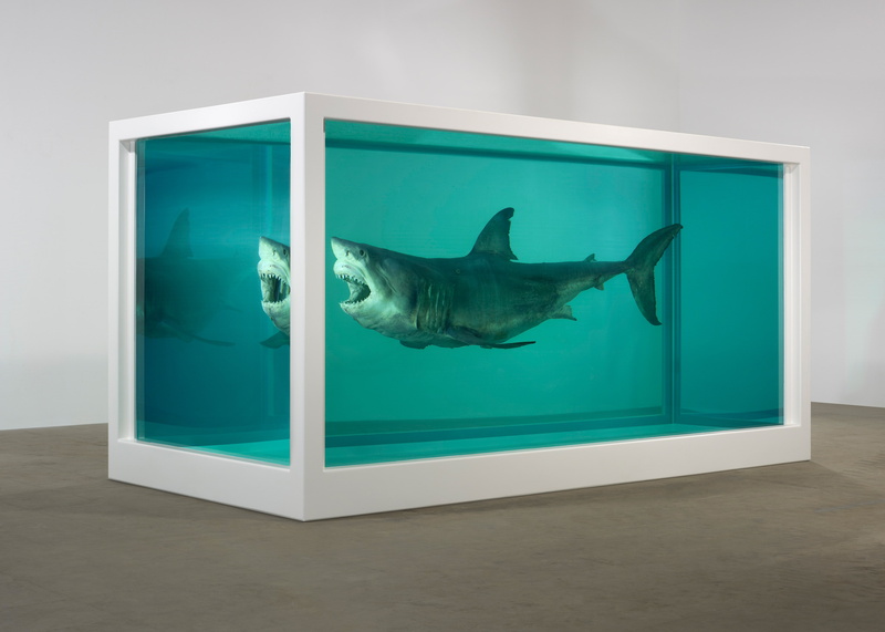4K, Damien Hirst, The physical impossibility of death in soznanii living, formalin, Shark