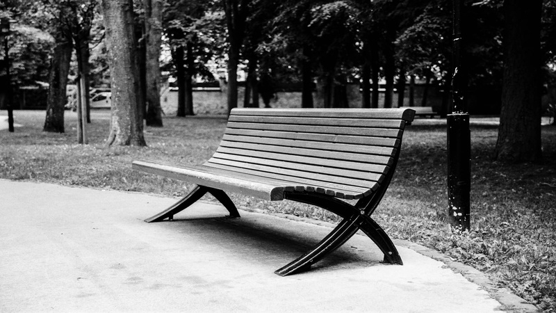empty, monochrome, park, tree, park - man made space, trunk, day, plant, park bench, 1080P, outdoors, tree trunk, relaxation, tranquility, bench, nature