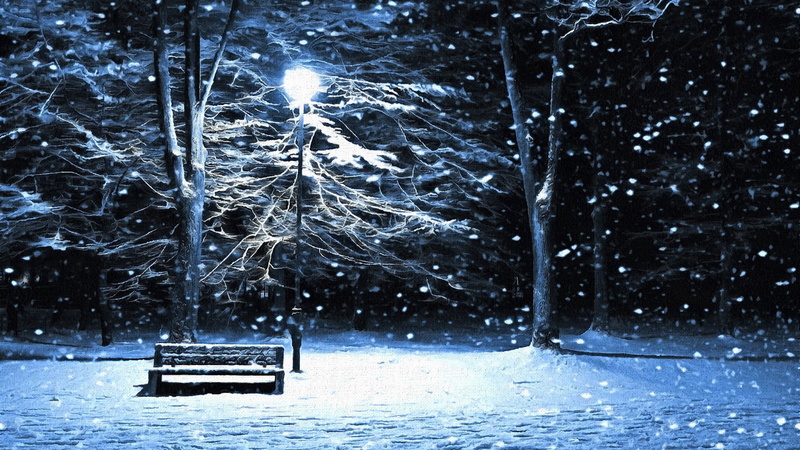 snowing, night, no people, covering, scenics - nature, extreme weather, plant, artwork, tree, nature, cold temperature, bench, white color, non-urban scene