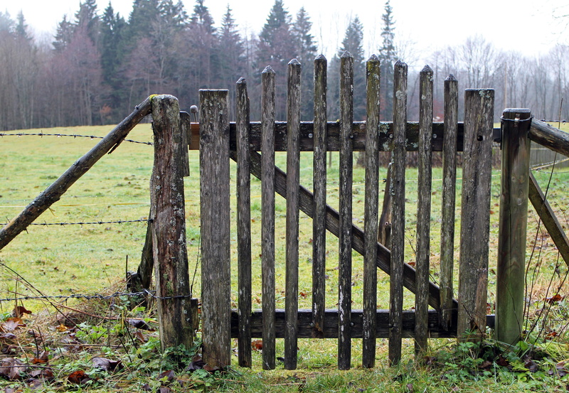 input, garden door, access, field, grass, pasture, protection, agriculture, landscape, barrier, metal, land, farm, fence, Wooden, plant, Slat, slat door
