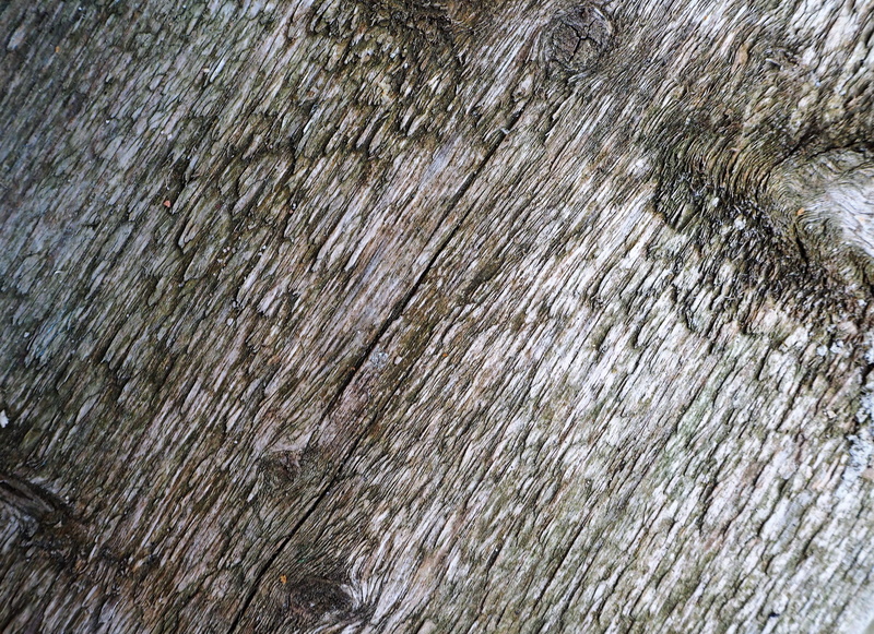 abstract, background, boards, natural pattern, wood, backgrounds, grain, rough, battens, wooden slat, wood grain, day, textured effect, full frame, 4K