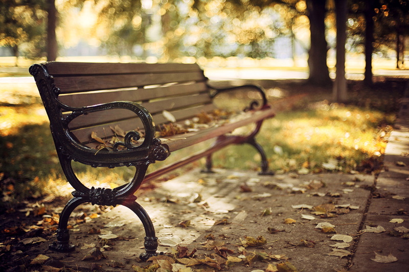 bench, park bench, bokeh, tree, brown, no people, plant part, leaves, wooden, nature, land, autumn, day, change, park - man made space, wood - material