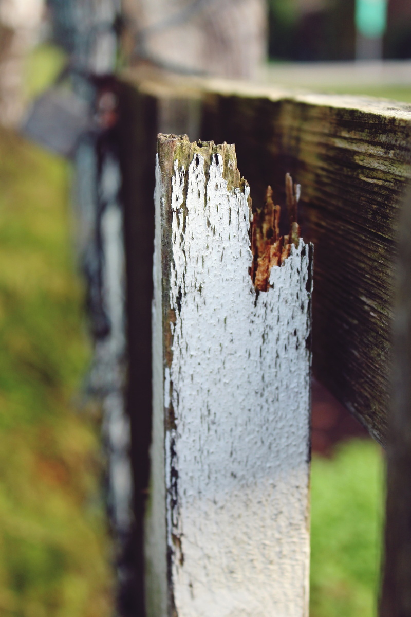 close-up, close up, day, still life, garden fence, safety, damaged, selective focus, 4K, old, rough, wooden slat, post, wood - material, focus on foreground