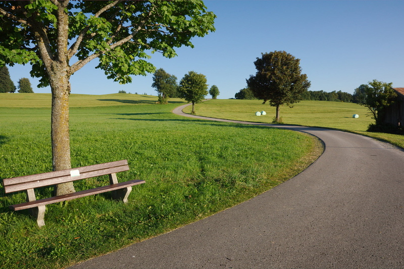 brown, growth, bench, tranquil scene, clear sky, scenics - nature, sunlight, slatted, landscape, day, summer, wooden, no people, beauty in nature, footpath