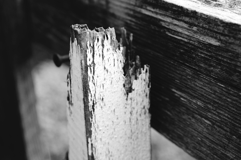 outdoors, construction material, metal, textured, pattern, wood - material, nature, no people, garden fence, close up, limit, close-up, focus on foreground