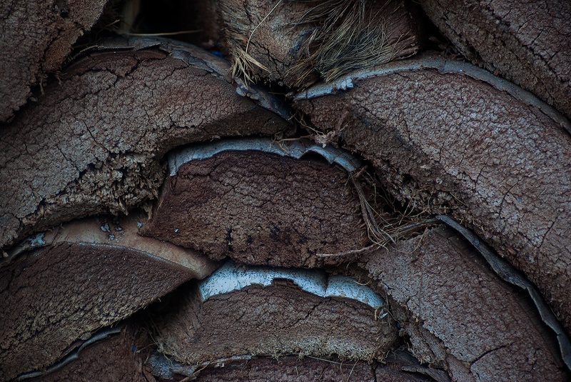 nature, log, food, trunk, tree trunk, woodpile, pile, stack, vertebrate, cutting, lumber, rock formation, high angle view, rock, close-up, wooden, day