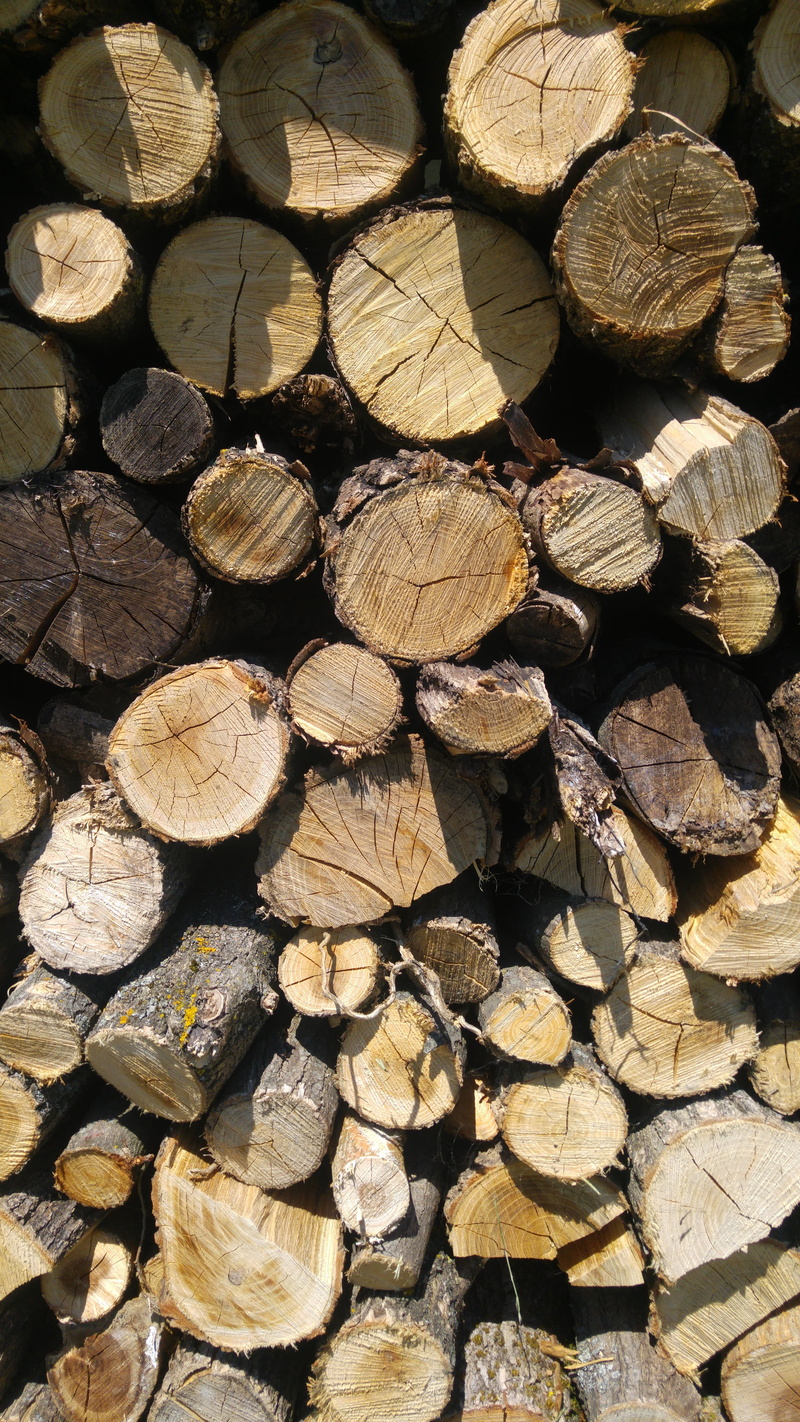 tree Trunk, environmental issues, log, fire, wood, material, outdoor, chopped, circle, forest, firewood, pile, no people, fuel and power generation, cut