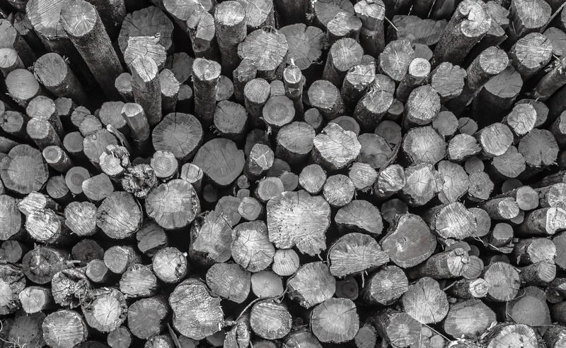 logs, pile, photography, stacked, cut, stack, full frame, firewood, textured, grayscale, pattern, heap, lumber, no people, deforestation, day, forestry
