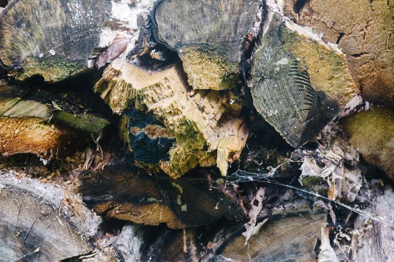 flowing water, 4K, pine, rot, old, nature, rural, no people, rough, environment, macro, pattern, water, logging, firewood, texture, woodpile, log, wood