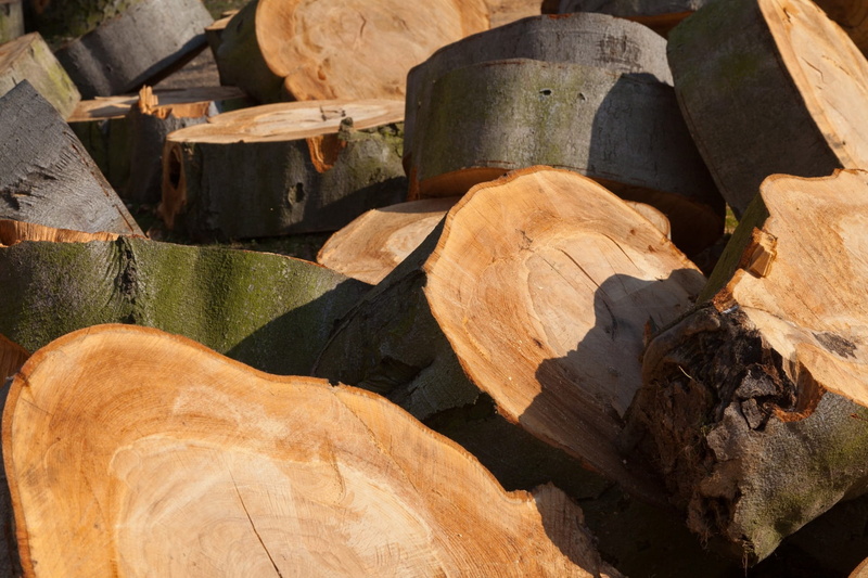 stack, cellar, wood - Material, focus on foreground, lumber Industry, material, Chainsaw, forest, heap, woodpile, backgrounds, firewood, saw, Wood, Timber