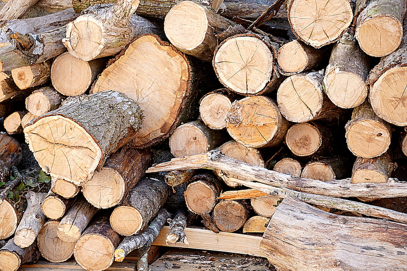 outdoors, forest, stack, backgrounds, tree, logs, woodpile, trunk, fuel and power generation, tree ring, lumber industry, branch, heap, nature, pile, environmental issues