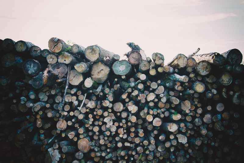 paper, stem, recycling, ring, bark, environmental damage, heap, brown, plant, cracked, environment, heavy, nature, sawing, trunk, log, resource, no people