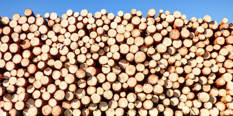 logs, round, abstract, backgrounds, brown, deforestation, food, pile, cut, lumber industry, outdoors, pine tree, pattern, firewood, timber, stack, large group of objects