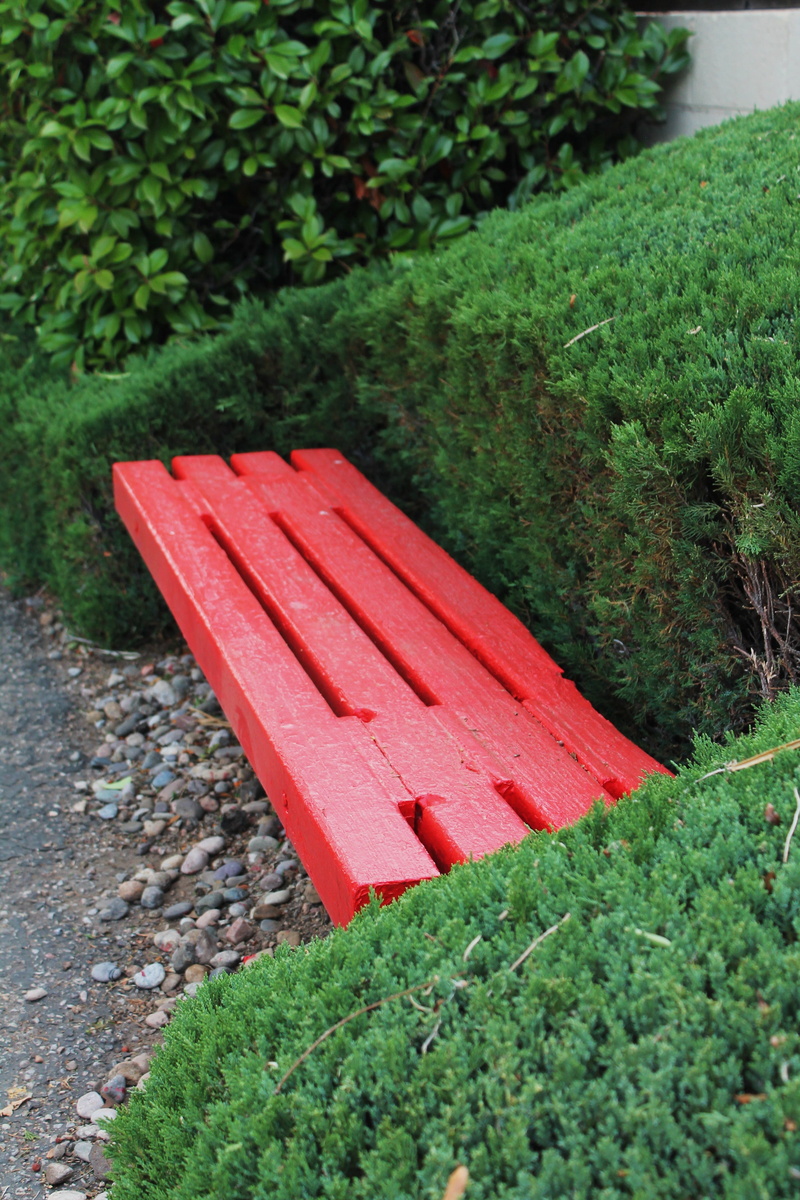 park bench, absence, relaxation, growth, no people, relax, wooden bench, high angle view, red, front or back yard, nature, wood, park - man made space