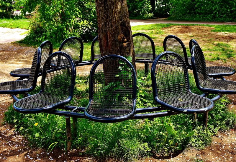 park bench, chair, trunk, outdoors, garden bench, absence, grass, tree trunk, land, recover, bench, park - Man Made Space, sit, bank, rest, growth, recovery