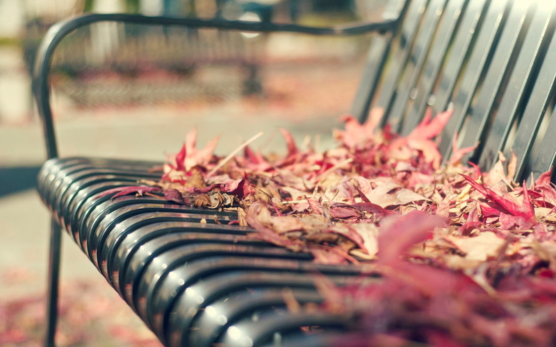 autumn, bokeh, 1080P, bench, leaves