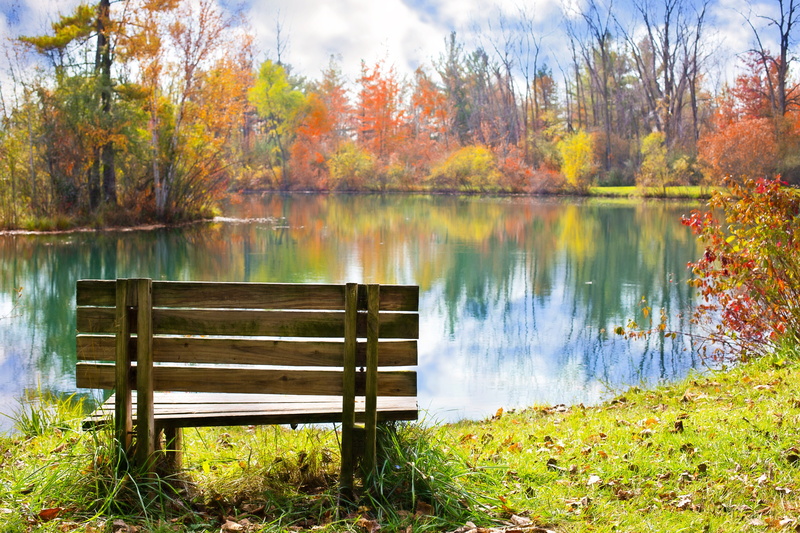 colorful, brown, seat, wooden, change, body, day, pond, grass, fall trees, nature, october, fall leaves background, no people, bench, non-urban scene, tranquility