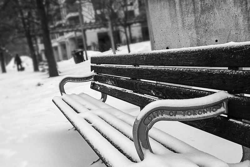 outdoors, bench, photography, winter, focus, 2K, nature, weather, monochrome, park, focus on foreground, urban, icy, close-up, cold temperature, covered