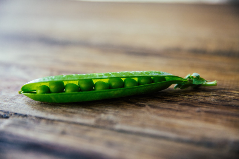 healthy eating, selective focus, wellbeing, copy space, freshness, animal themes, peas, green color, one animal, raw food, day, indoors, 5K, food and drink