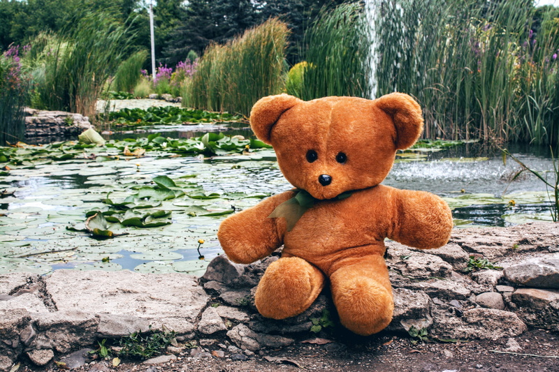 stone, furry, plush, portrait, stuffed toy, sitting, grass, summer, food, pond, color, no people, cute, water, green color, day, childhood, 4K, water lily