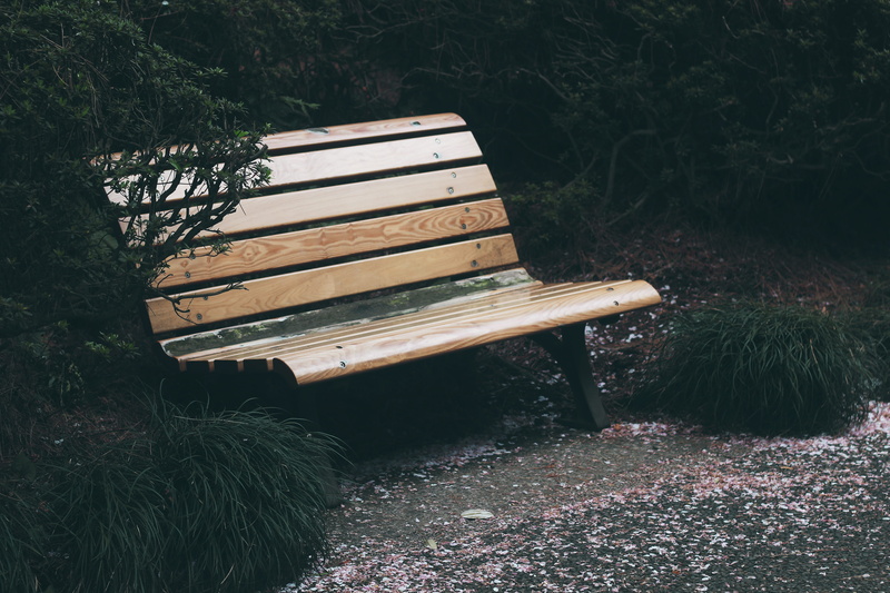 land, tranquility, park, green leaf, wooden bench, empty, day, park - Man Made Space, outdoors, tranquil Scene, linear, plant, green Color, absence, no People