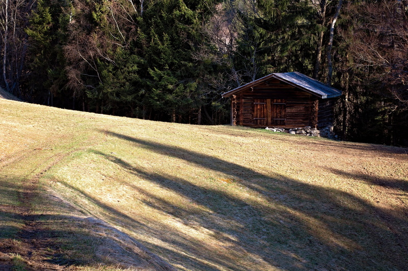 meadow, day, grass, plant, building exterior, spring, land, built structure, wood - material, landscape, agricultural building, outdoors, shadow, log cabin
