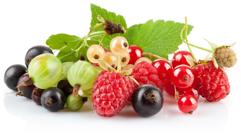 fruits, photography, 2560x1440, berry, fruit, currant, 2K, close, assorted