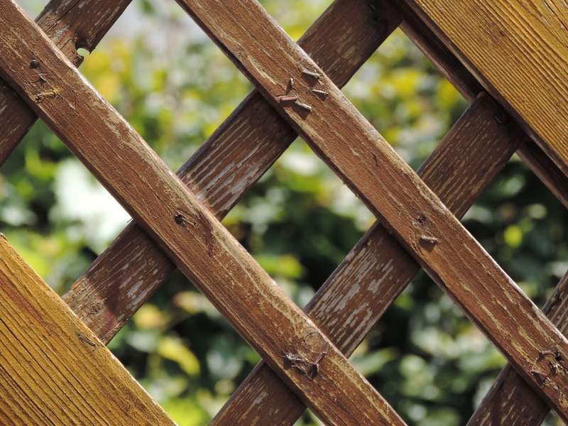 wood, built structure, paling, wood - material, garden, railing, day, nature, garden fence, focus on foreground, architecture, connection, outdoors, allotment