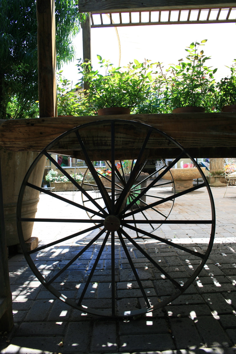 porch, plant, potted, spokes, outdoors, day, built structure, round, park, ight and shaddow of slats, wheel, table, 4K, architecture, tree, decoratve