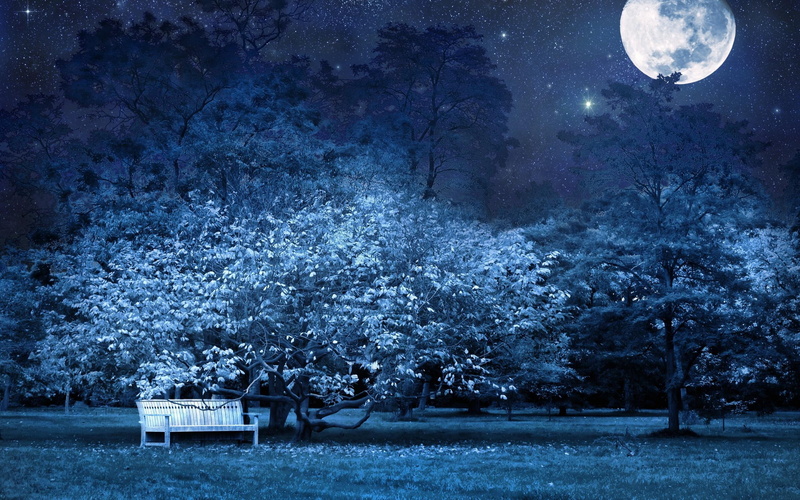 light, trees, 2K, full moon, night, bench, stars, full, sky, park, darkness, moon