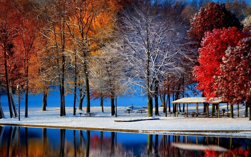 growth, landscape, leafed, winter, fall, 1080P, idyllic, bench, tree, color, no people, snow, assorted, lake, reflection, scenics - nature, nature, outdoors