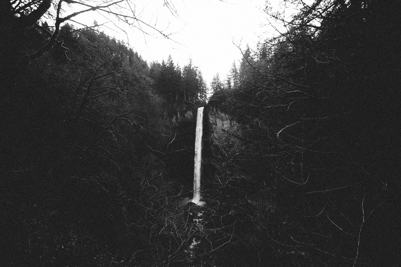 land, 5K, forest, tranquil scene, day, business, scenics - nature, color, bright, hand, close, nature, black, remote, sky, safety pin, tree, environment