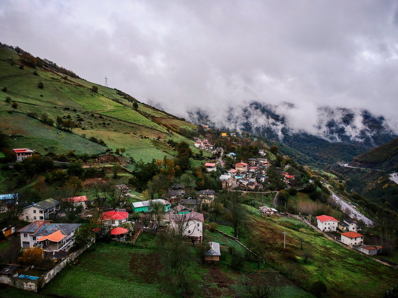 jungle, land, forest, ways, sky, environment, tree, no people, plant, 4K, gilan province, grass, day, townscape, iran, trees, astara, beauty in nature