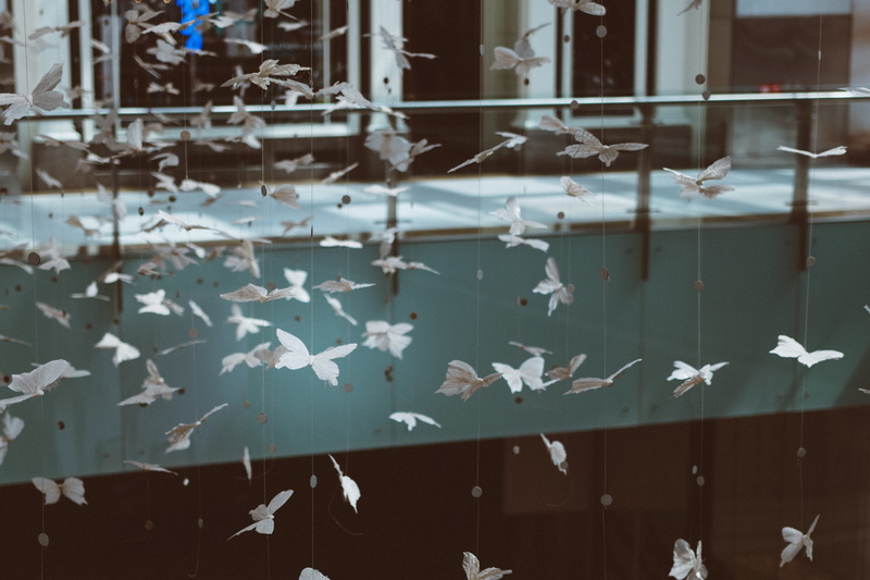 vertebrate, united arab emirates, window, built structure, flying, animal, glass - material, indoors, decoration, shopping, mall, group of animals, butterflies