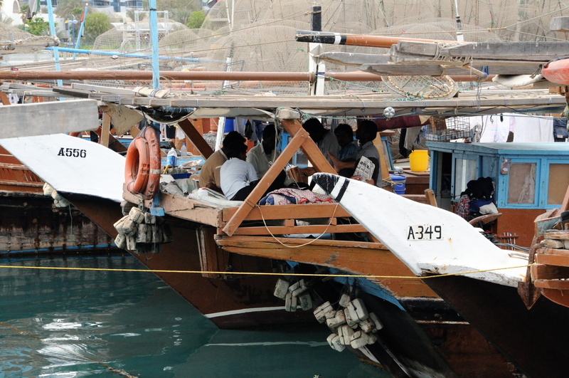 crowd, outdoors, wood - material, large group of people, animal, incidental people, architecture, arabian, rope, day, moored, nautical vessel, text, dhow