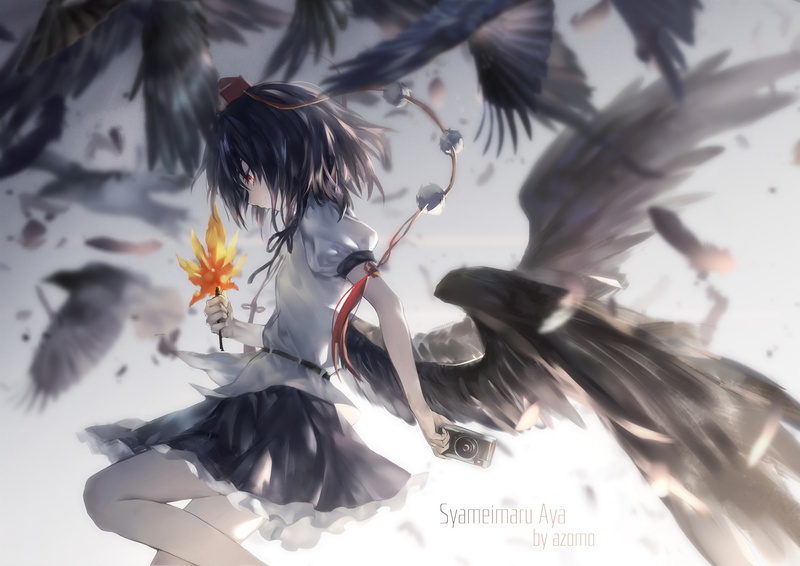 touhou, wings, 1080P, skirt, com, feathers, red, black, avamone, aya, short, eyes, watermark, konachan, 254366, hair, shameimaru, camera
