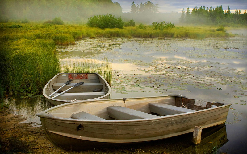 boats, misty, morning, quality, hd, background, jpg, desktop, reed, 2K, lake