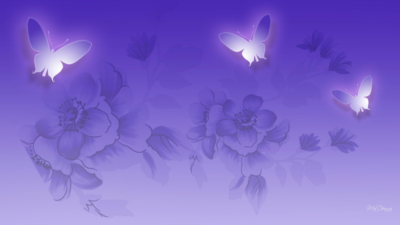 flowers, 3d and abstract, lavender, lilac, majesty, transparent, butteflies, 1080P, firefox persona, glow, purple