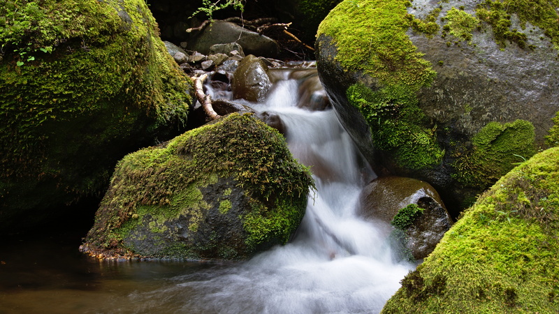 waterfall, plant, beaumont, solid, tree, stream, rocks, long exposure, outdoors, branches, soothing, smooth, motion, nature, water, calm, small, spence burn track