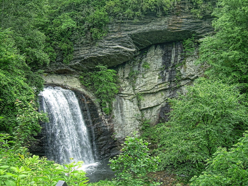 low angle view, forest, tree, waterfall, beauty in nature, day, plant, motion, national, land, north, growth, foliage, pisgah forest, no people, carolina
