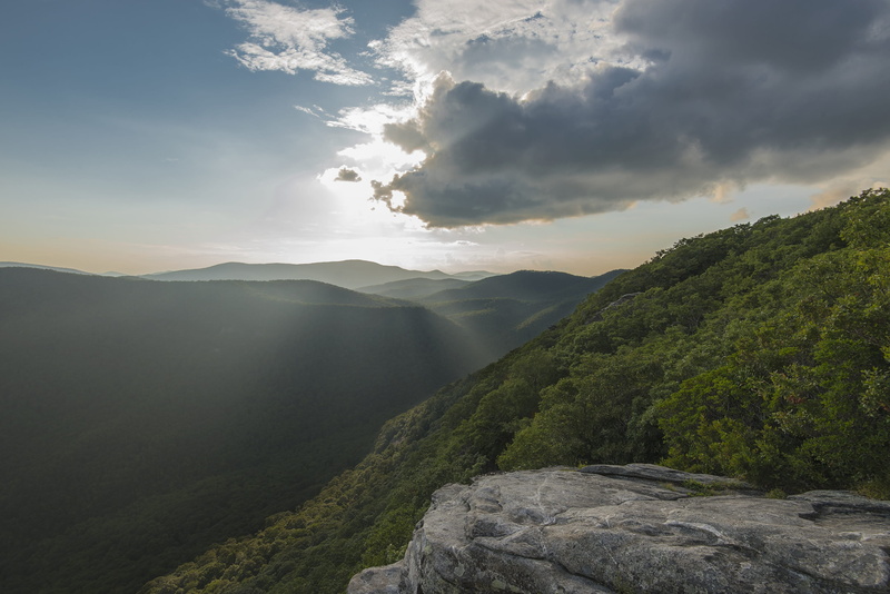 beauty in nature, trees, appalachia, green, tranquil scene, 2K, day, white, tranquility, fog, mountain, idyllic, nc, evening, outdoors, sky, tree, nature