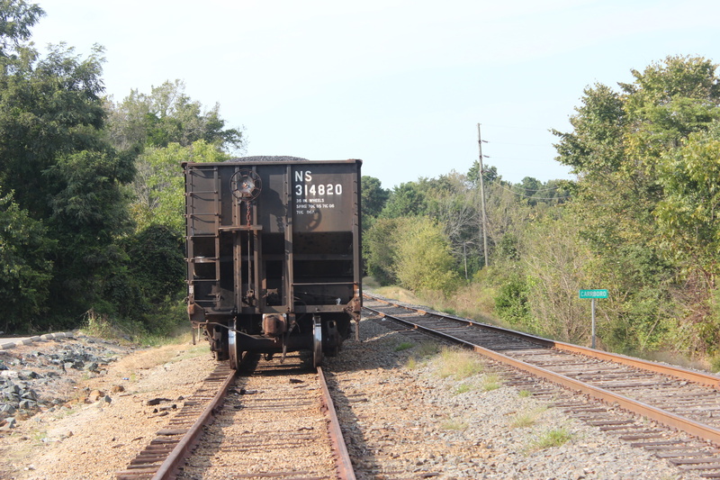 train, public transportation, 5K, tree, growth, transportation, no people, carrboro, north carolina, nc, railroad car, sky, land, train - vehicle, track