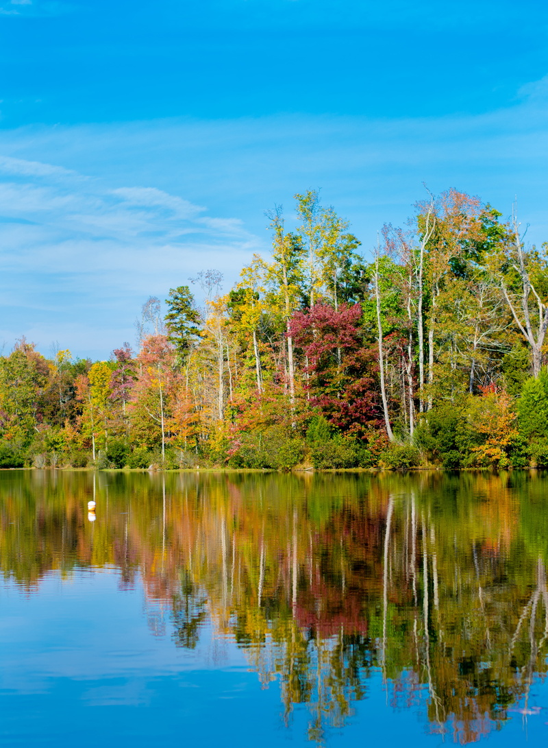 built structure, plant, park, water, blue, sky, nature, architecture, summer, waterfront, lake, tranquil scene, 5K, day, scenery, scenics - nature, no people