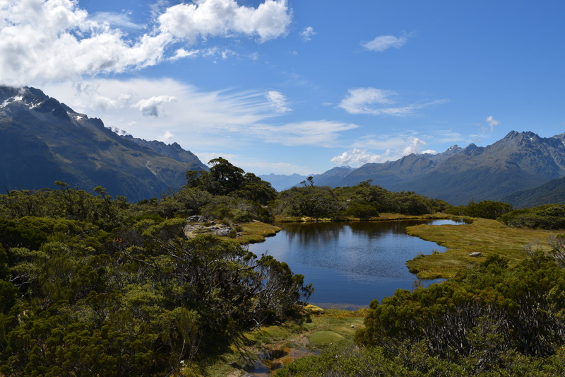 plant, summit, new zealand, mountain, routeburn track, water, nature, reflection, beauty in nature, mountains, fiordland national park, green, 5K, outdoors