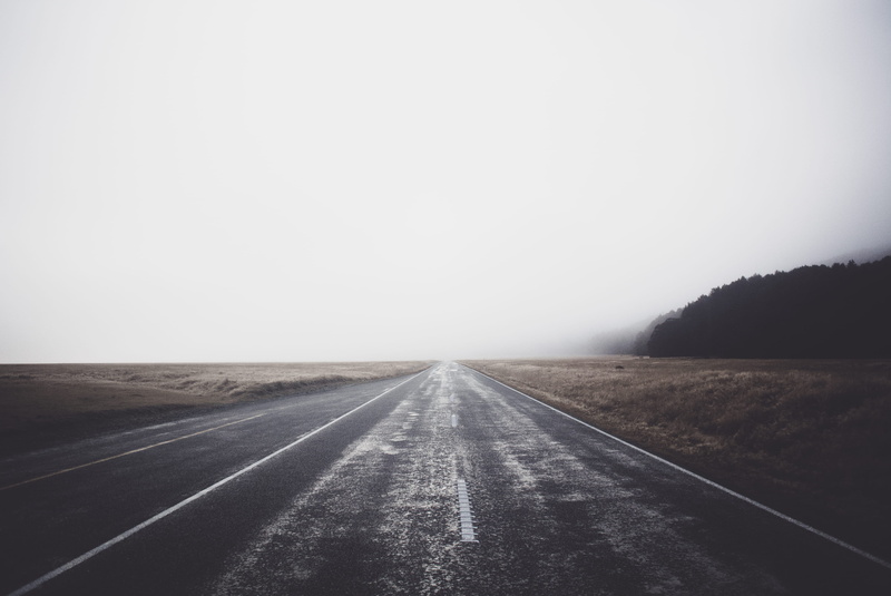 forest, sign, direction, marking, cloud, road marking, outdoors, wet, drive, new zealand, sky, symbol, nz, routeburn track, colour, khaki, hiking, car