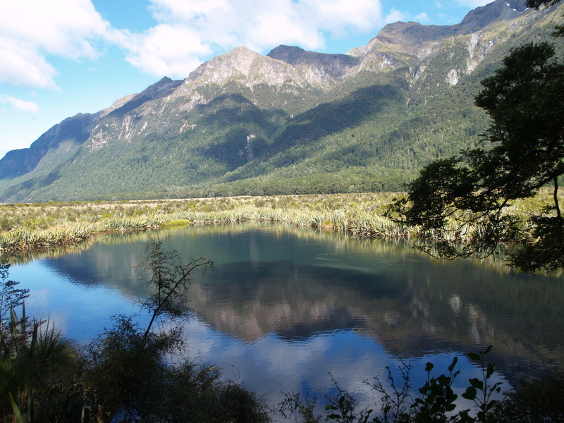tranquil scene, reflection, lake, cloud - sky, environment, landscape, mountain, tranquility, fjord, sky, new zealand, non-urban scene, nature, fiordland national park
