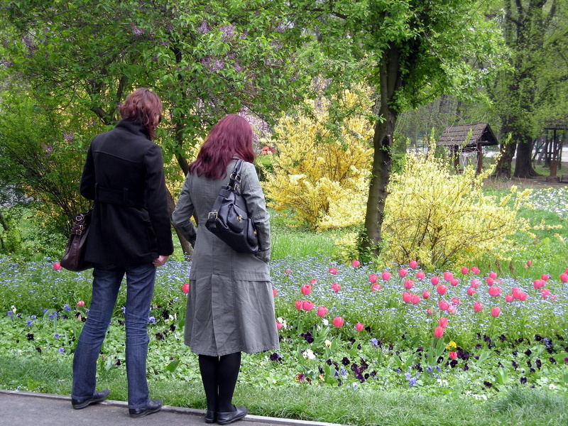 1080P, heterosexual couple, leisure activity, pastel, Herastrau, tree, real people, couple - relationship, romania, growth, park, rear view, adult, bonding