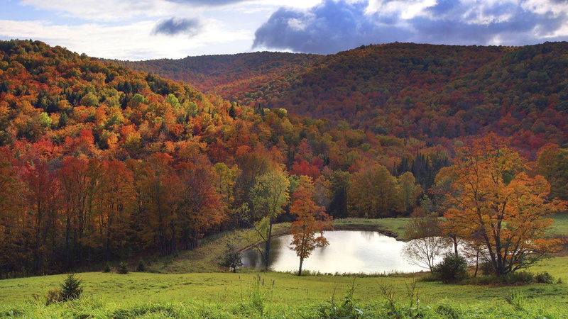 1920x1080, forest, valley, lake, mountain, autumn, nature, leaf, mountian, green, tree, 1080P