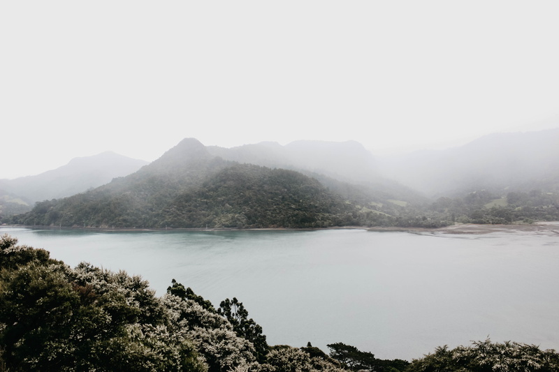 tree, 5K, sky, plant, mist, adventure, tranquil scene, mountains, copy space, tranquility, coast, beach, filed, near, forest filed, mountain range, mountain