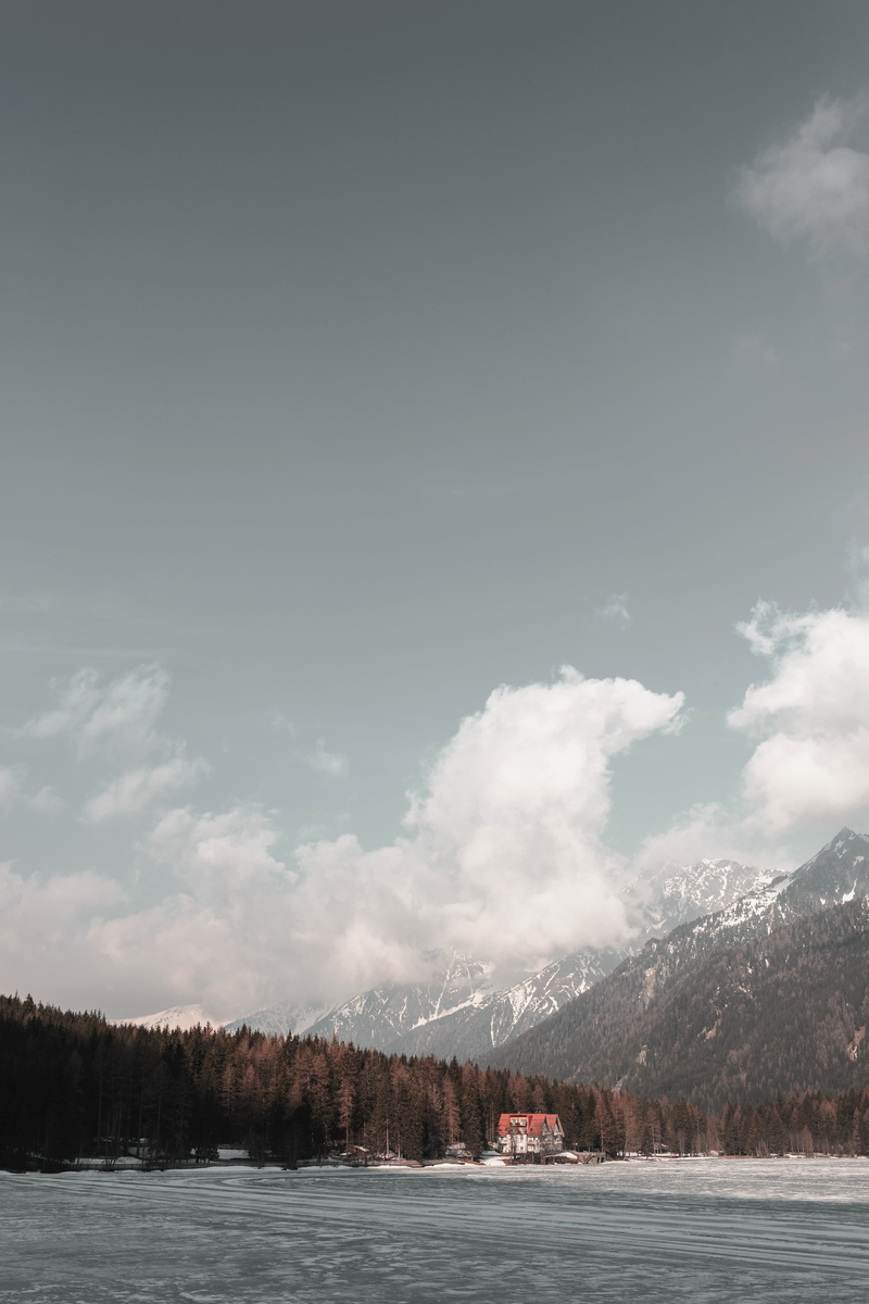 trees, snow, forest tree, cloudy, cloud - sky, landscape, plant, mountain range, holiday, mountain, beside, non-urban scene, cold temperature, sky, body